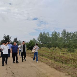 揚(yáng)州自然資源局和農(nóng)業(yè)農(nóng)村局領(lǐng)導(dǎo)參觀檢查