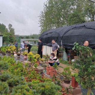 北京苗木商會(huì)考察